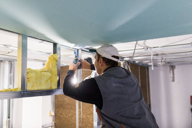 Best Basement Insulation  in Kasson, MN