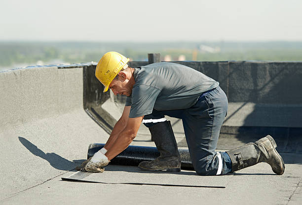 Best Attic Insulation Installation  in Kasson, MN