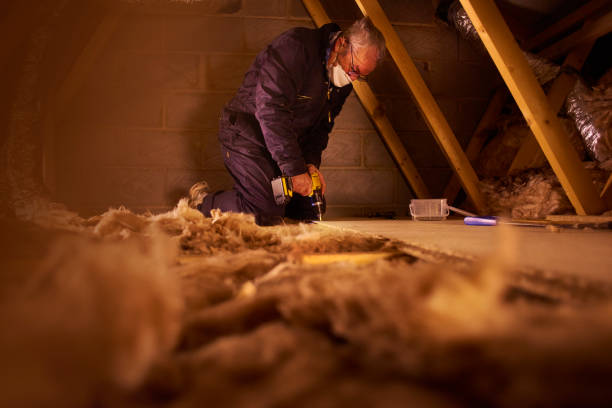 Best Insulation for Existing Homes  in Kasson, MN